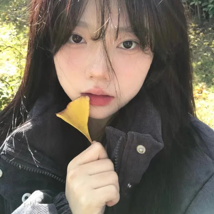 追逐